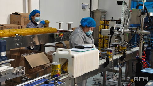 科技創(chuàng)新驅動產業(yè)升級 雙輪驅動綠色發(fā)展